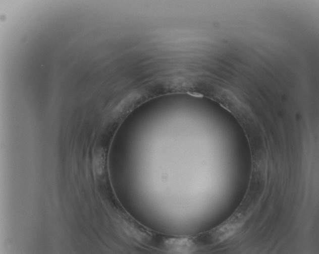 X0000062890133200601171523