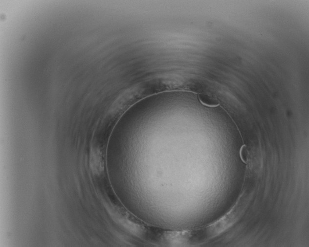 X0000062890136200601171523