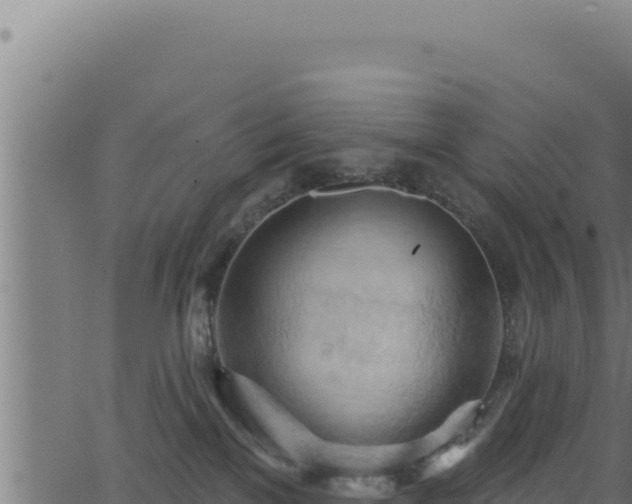 X0000062890137200601171523