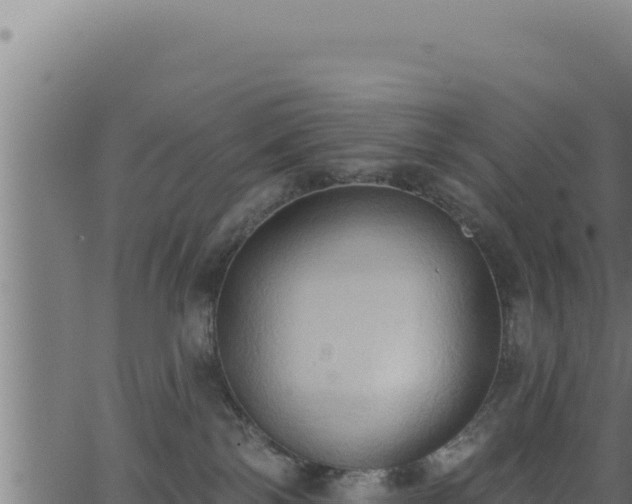 X0000062890138200601171523