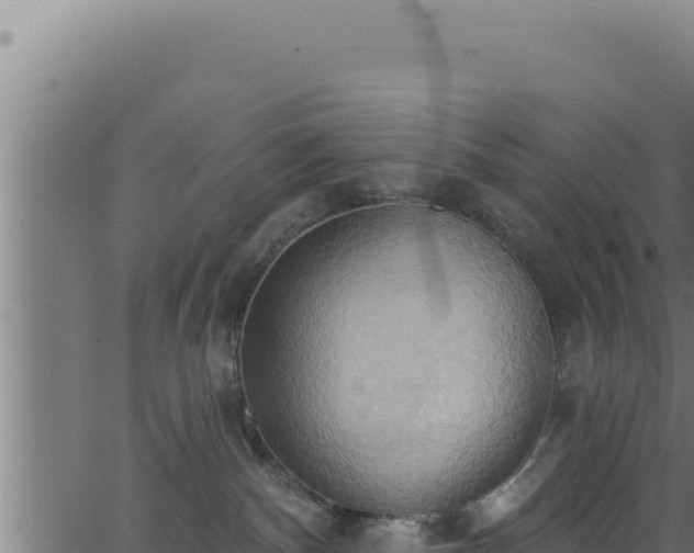 X0000062890140200601171523