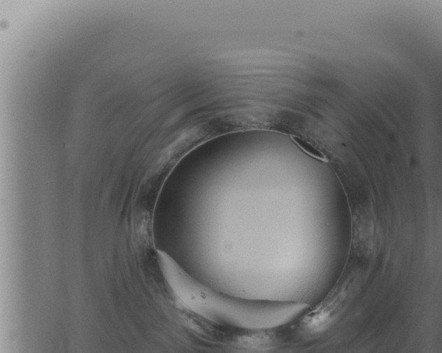 X0000062890141200601171523