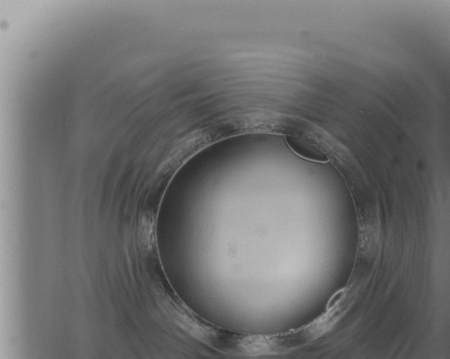 X0000062890142200601171523