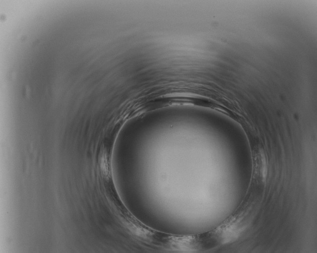 X0000062890143200601171523