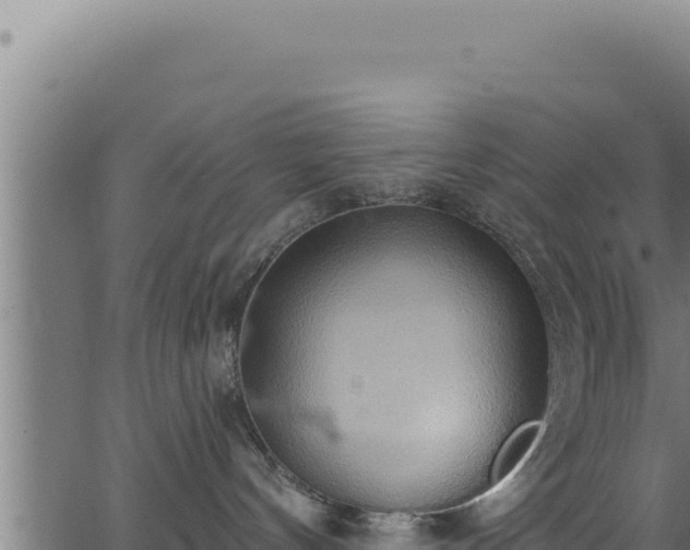 X0000062890144200601171523