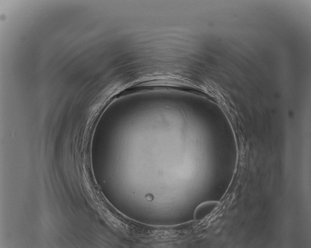 X0000062890145200601171522