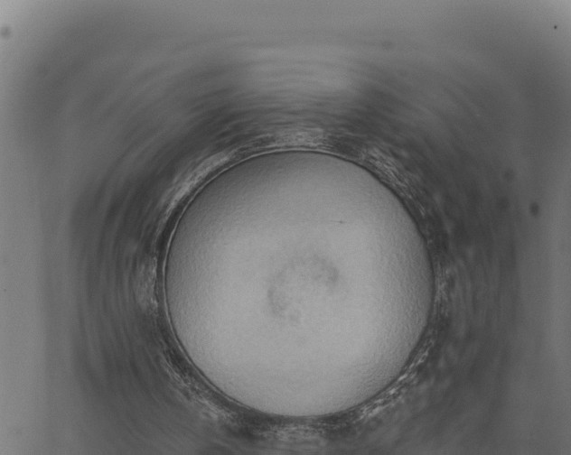 X0000062890146200601171522