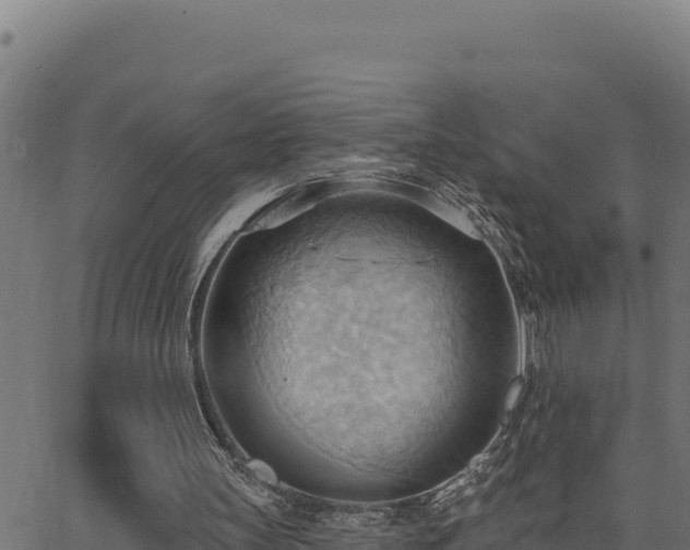 X0000062890147200601171522