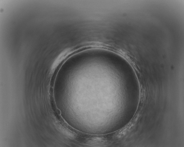 X0000062890151200601171522