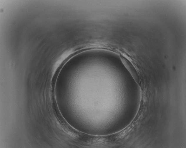 X0000062890152200601171522