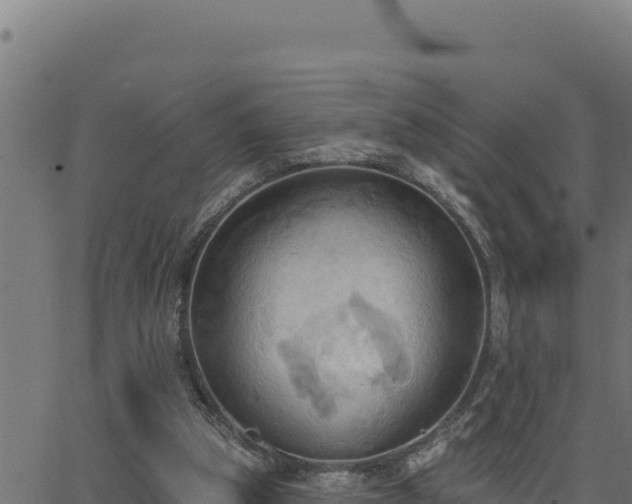 X0000062890153200601171522