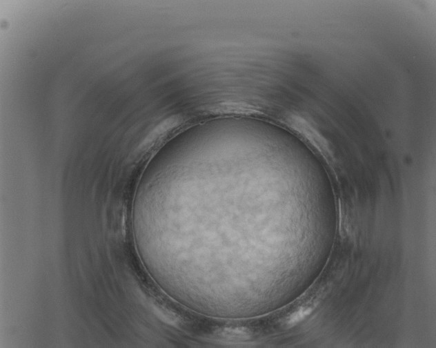 X0000062890157200601171522