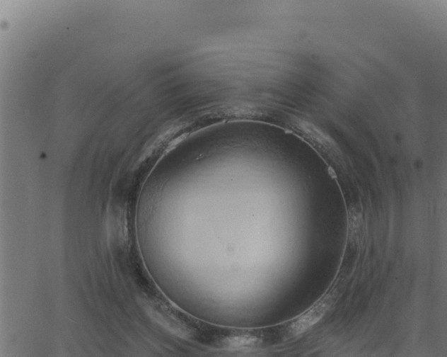 X0000062890158200601171522