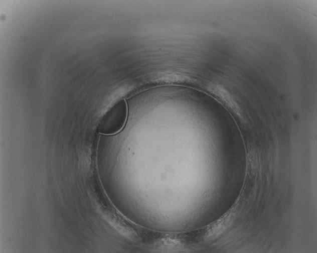 X0000062890159200601171522