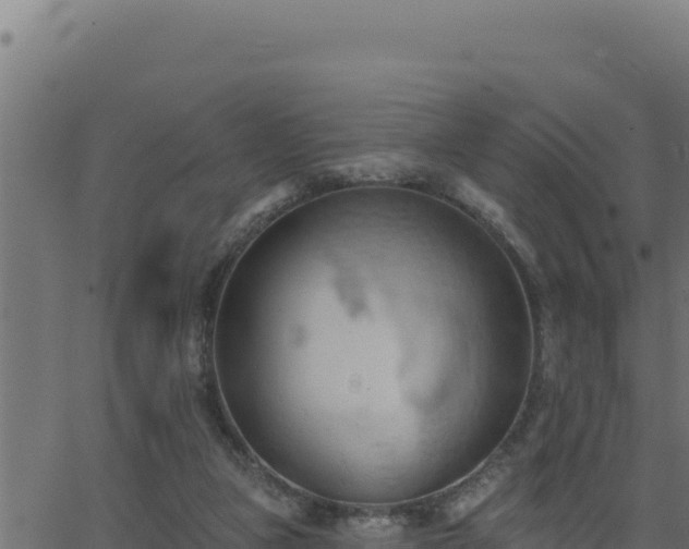 X0000062890161200601171522