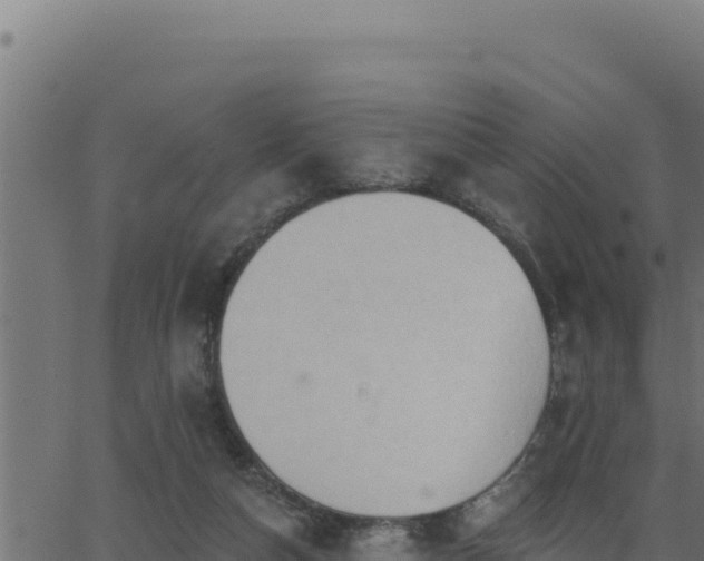 X0000062890162200601171522