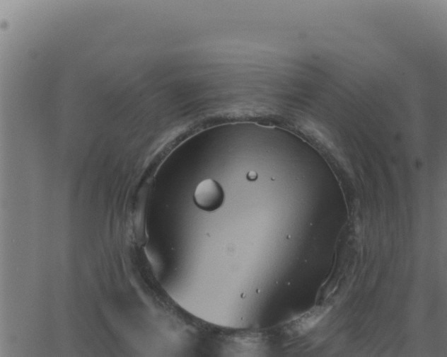 X0000062890164200601171523