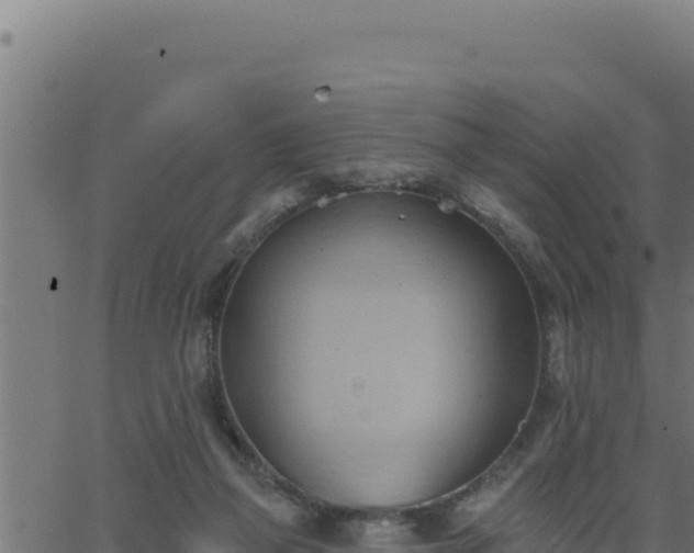 X0000062890165200601171523