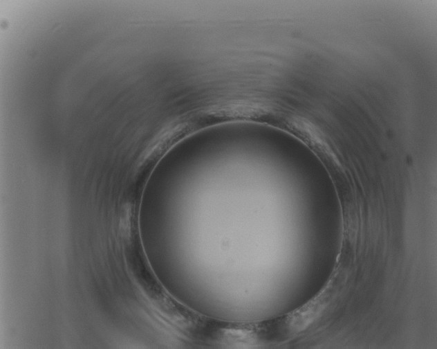 X0000062890167200601171523