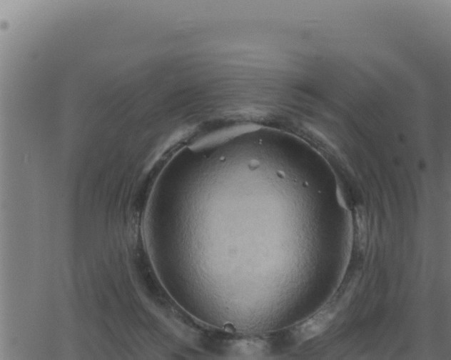 X0000062890168200601171523