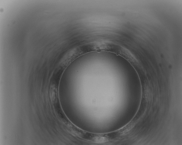 X0000062890169200601171523