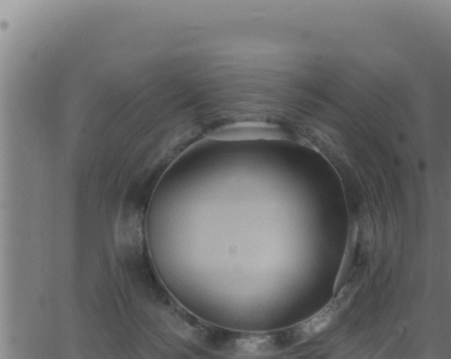 X0000062890172200601171523