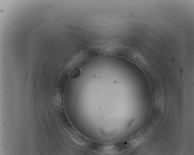 X0000062890173200601171523