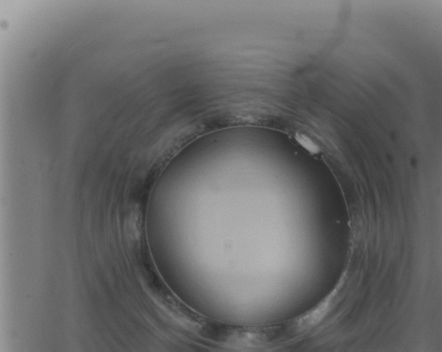 X0000062890174200601171523