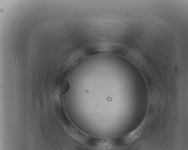 X0000062890175200601171523