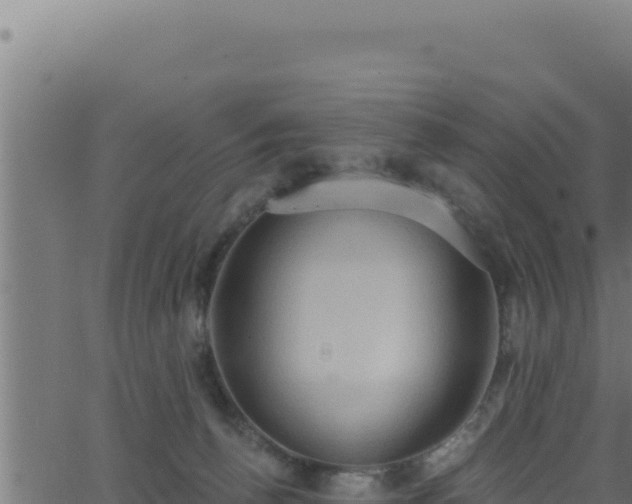 X0000062890176200601171523