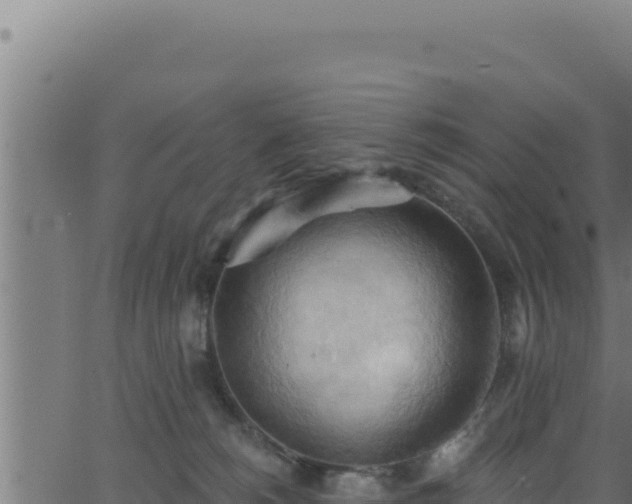 X0000062890180200601171523