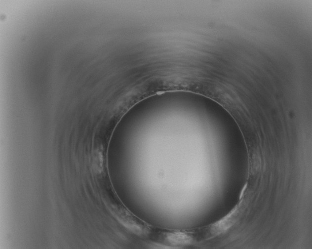 X0000062890183200601171523