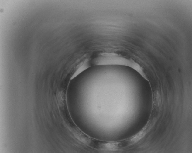 X0000062890184200601171523