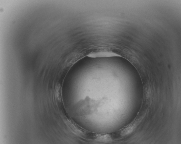 X0000062890185200601171523