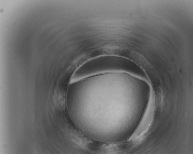 X0000062890186200601171523