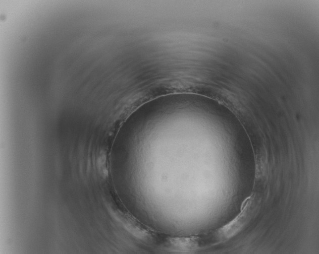 X0000062890187200601171523