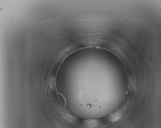 X0000062890189200601171523