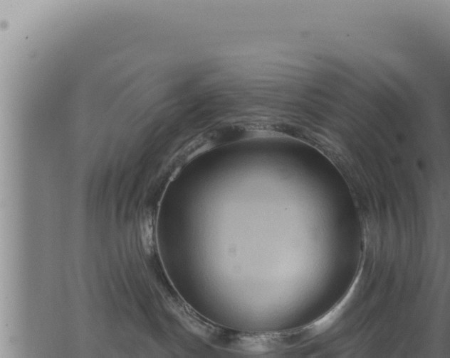 X0000062890190200601171523