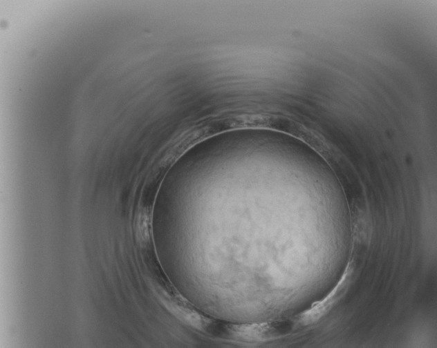 X0000062890191200601171523