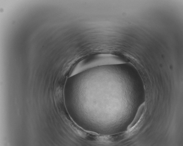 X0000062890192200601171523