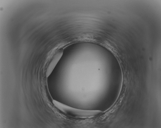 X0000062890193200601171522