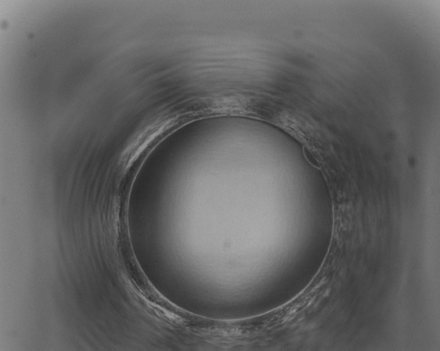 X0000062890194200601171522