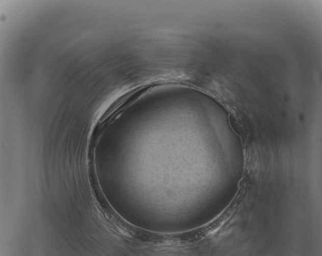 X0000062890196200601171522