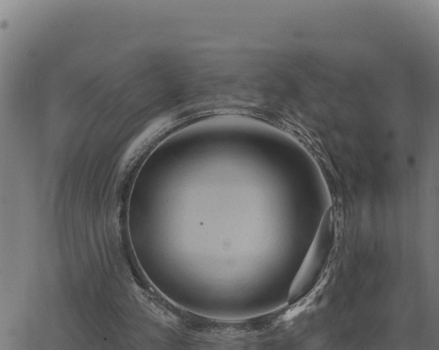 X0000062890197200601171522