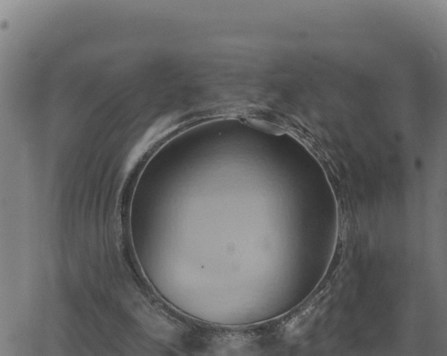 X0000062890198200601171522