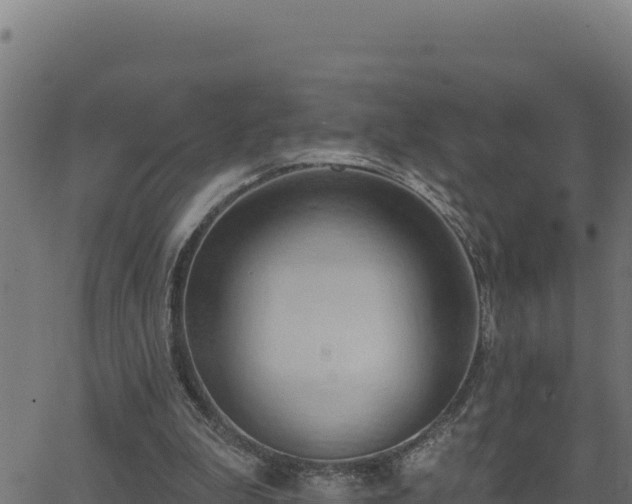 X0000062890199200601171522