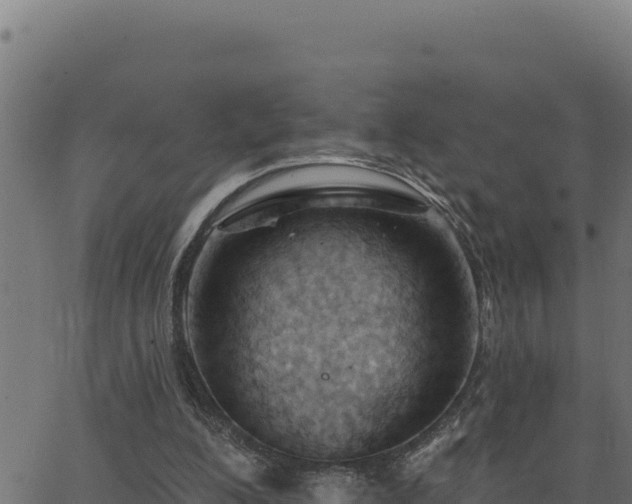 X0000062890200200601171522