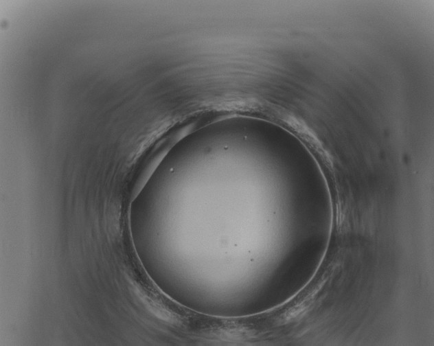 X0000062890201200601171522