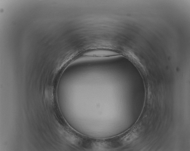 X0000062890202200601171522