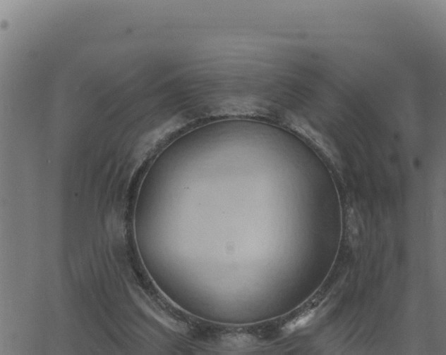 X0000062890203200601171522